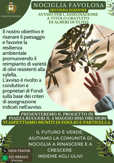 NOCIGLIA FAVOLOSA 2025 - SECONDA EDIZIONE UN ULIVO PER IL FUTURO